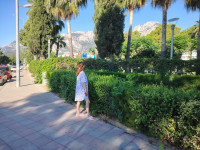 img_20260628_081616 (1)